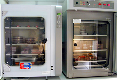 二氧化碳培養(yǎng)箱的使用和保護